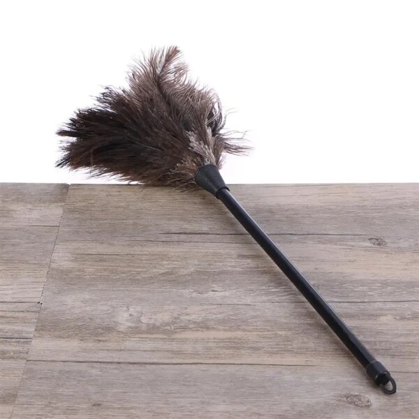 Ostrich Cleaner Cleaners With Long Plastic Handle Cleaning Brush Tool Household Cleaning Cleaner Dust Cleaning Tools